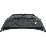 2003-2005 TOYOTA ECHO Hood Painted to Match 2003-2005 TOYOTA ECHO Hood Painted to Match