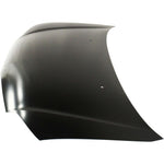 2000-2002 TOYOTA ECHO Hood Painted to Match 2000-2002 TOYOTA ECHO Hood Painted to Match