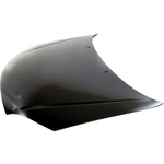2005-2007 FORD FOCUS Hood Painted to Match 2005-2007 FORD FOCUS Hood Painted to Match