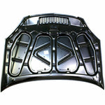 2002-2006 ACURA RSX Hood Painted to Match 2002-2006 ACURA RSX Hood Painted to Match
