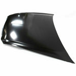 2004-2008 ACURA TL Hood Painted to Match 2004-2008 ACURA TL Hood Painted to Match