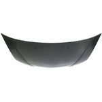 2002-2006 ACURA RSX Hood Painted to Match 2002-2006 ACURA RSX Hood Painted to Match