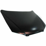 2004-2006 HYUNDAI ELANTRA Hood Painted to Match 2004-2006 HYUNDAI ELANTRA Hood Painted to Match