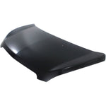 2013-2015 CHEVY SPARK Hood Painted to Match 2013-2015 CHEVY SPARK Hood Painted to Match