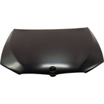 2018-2020 BMW 5-Series ; Hood ; G30; Hybrid -- Manufacturer Part #: 41007440427  /  Partslink #: BM1230143