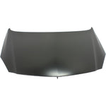 2011-2011 BUICK REGAL Hood Painted to Match