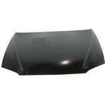 2002-2004 KIA SPECTRA Hood Painted to Match; 4dr HB; from 5/01; early design