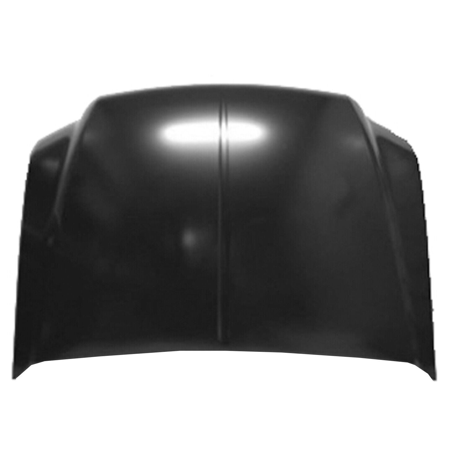 1999-2007 FORD SD PICKUP Hood Painted to Match