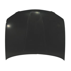 2004-2006 NISSAN SENTRA Hood Painted to Match