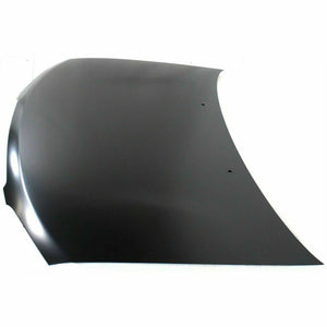 2000-2003 NISSAN SENTRA Hood Painted to Match