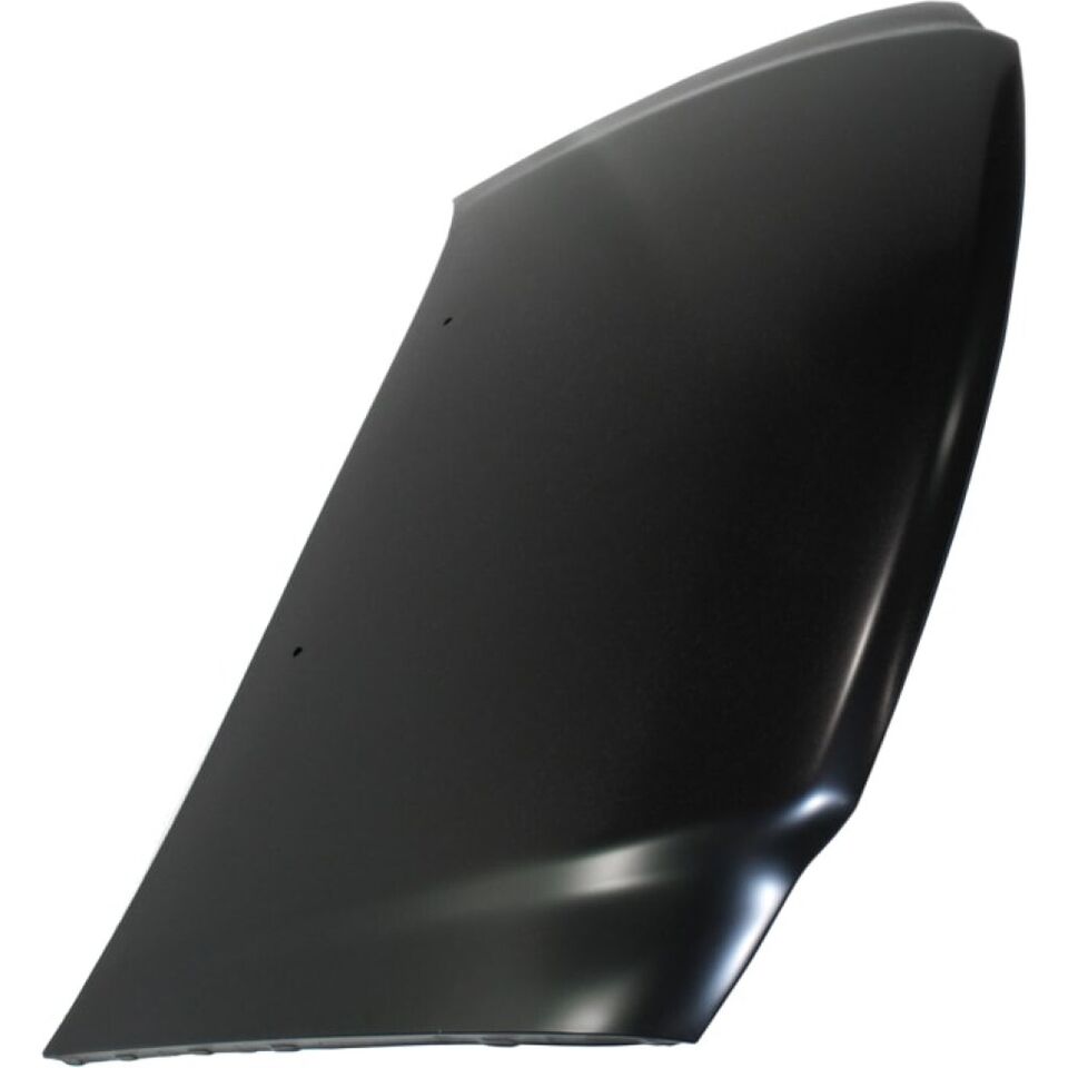 2004-2004 FORD F150 HERITAGE Hood Painted to Match