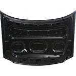 2004-2004 FORD F150 HERITAGE Hood Painted to Match