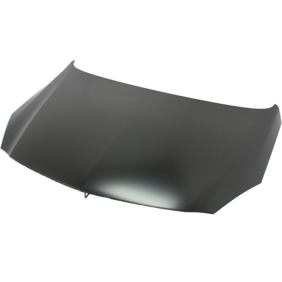 2011-2011 BUICK REGAL Hood Painted to Match