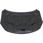 2013-2015 NISSAN SENTRA; Hood; - Painted to Match - Manufacturer Part # F51003SGMA / Partslink Number: NI1230193