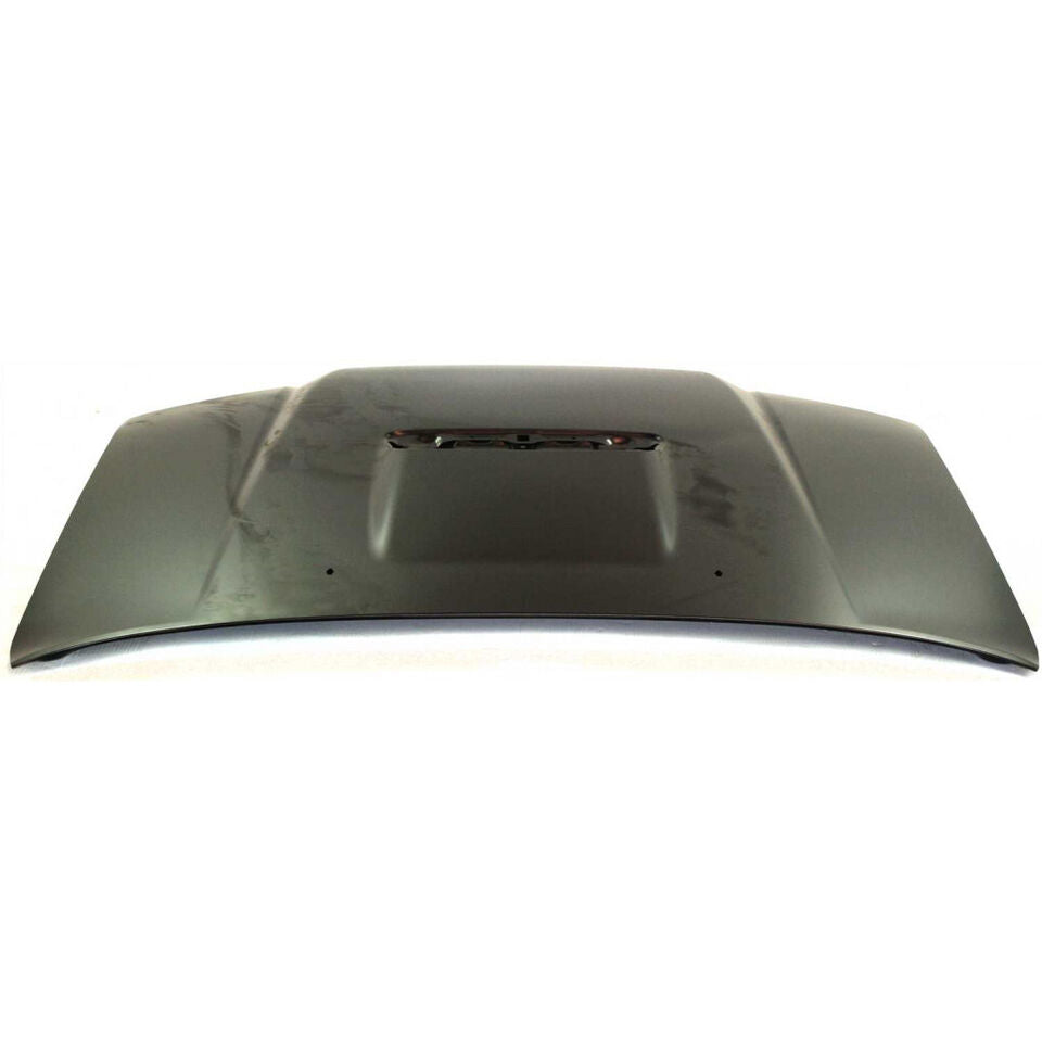2003-2009 TOYOTA 4-RUNNER Hood Painted to Match; w/Hood Painted to Match scoop holes; Sport