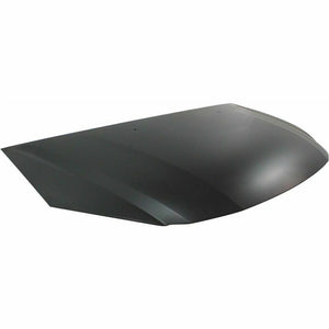 2008-2010 HONDA ODYSSEY Hood Painted to Match