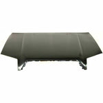 2003-2009 TOYOTA 4-RUNNER Hood Painted to Match; SR5/Limited