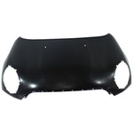 2011-2012 MINI COOPER Hood Painted to Match; BASE