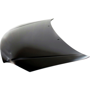 2005-2007 FORD FOCUS Hood Painted to Match