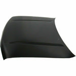 1996-2002 TOYOTA 4-RUNNER Hood Painted to Match; w/o Hood Painted to Match scoop