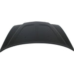 2011-2014 DODGE CHARGER, Hood;  Painted to Match - Manufacturer Part # 68089361AB / Partslink - CH1230285