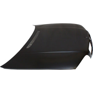 1999-2001 BMW 3 SERIES Hood Painted to Match; COUPE/convert